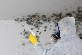 Why You Should Choose Our Mold Remediation Services in Glenmoor, OH